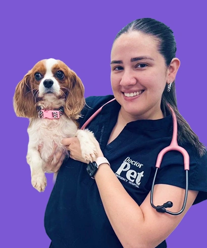 Dra. Stephanie Rivera smiling in Doctor Pet scrubs and holding a Cavalier King Charles Spaniel against a purple background