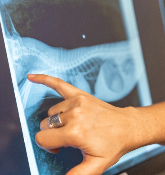 img-diagnostico-y-terapeutico