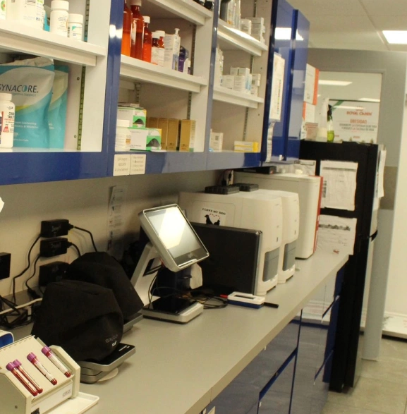 img-laboratorio