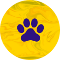 img-paw-paw